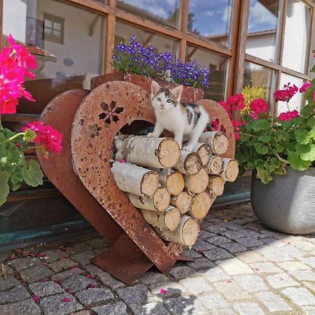 Bauernhof Suesshof Apartamento Zwiesel Exterior foto
